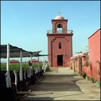 Viña Tacama - Campanario