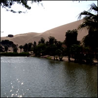 Oasis de Huacachina