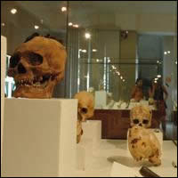 Museo Regional de Ica