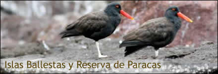 Islas Ballestas y Reserva Nacional de Paracas