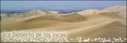 Ica Desierto de los Incas